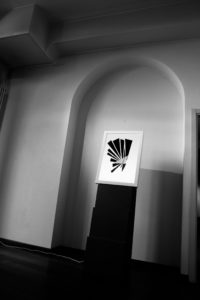 imbilico_017
